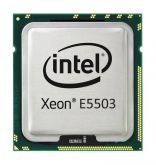 S26361-F3277-E200 Fujitsu 2.00GHz 4.80GT/s QPI 4MB L3 Cache Intel Xeon E5503 Dual Core Processor Upgrade